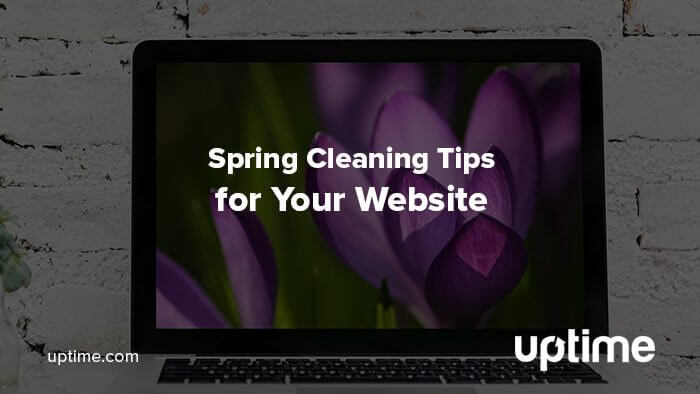 spring cleaning website uptime.com