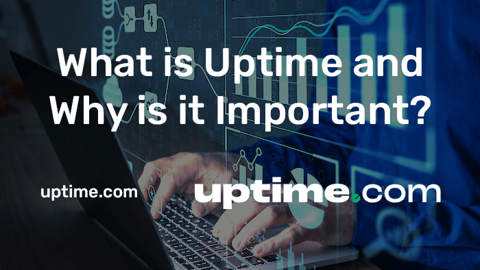 what is uptime and why is it important